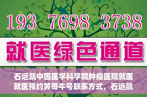 石远凯中国医学科学院肿瘤医院就医就医预约黄哥牛号联系方式，石远凯教授，中国医学科学院肿瘤医院就医预约指南及联系方式揭秘