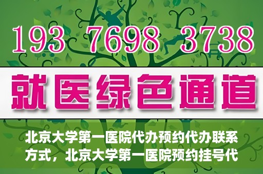 北京大学第一医院代办预约代办联系方式，北京大学第一医院预约挂号代办联系方式解析