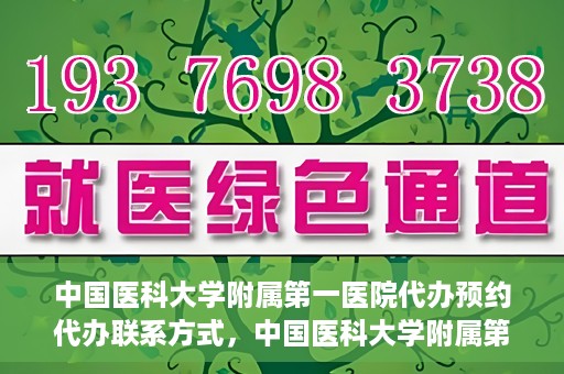 中国医科大学附属第一医院代办预约代办联系方式，中国医科大学附属第一医院预约挂号代办联系方式解析