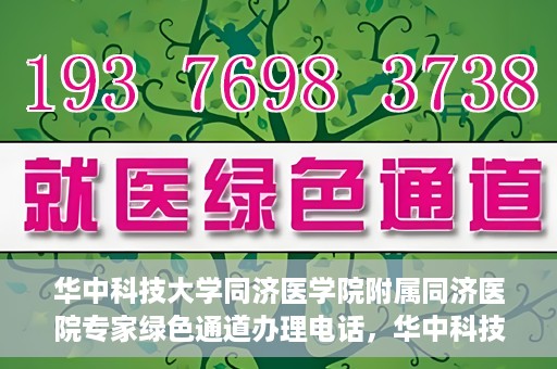 华中科技大学同济医学院附属同济医院专家绿色通道办理电话，华中科技大学同济医学院同济医院专家绿色通道服务热线揭秘