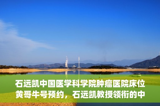 石远凯中国医学科学院肿瘤医院床位黄哥牛号预约，石远凯教授领衔的中国医学科学院肿瘤医院床位预约攻略，黄哥牛号预约详解