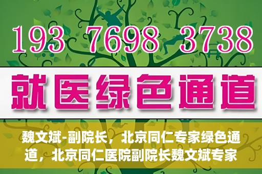 魏文斌-副院长，北京同仁专家绿色通道，北京同仁医院副院长魏文斌专家绿色通道介绍