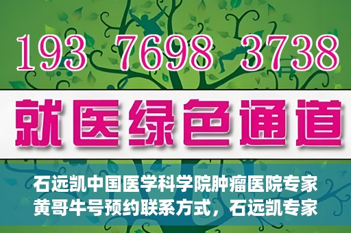 石远凯中国医学科学院肿瘤医院专家黄哥牛号预约联系方式，石远凯专家团队预约挂号攻略，中国医学科学院肿瘤医院黄哥牛号预约联系方式揭秘