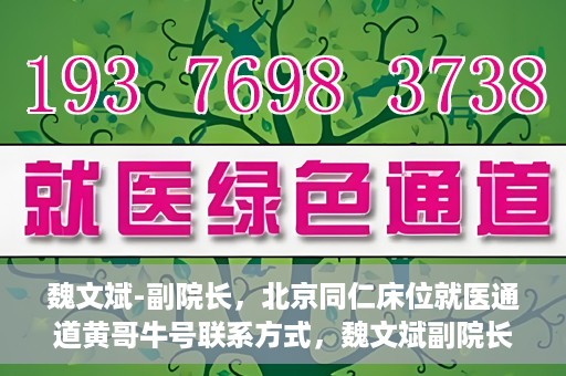 魏文斌-副院长，北京同仁床位就医通道黄哥牛号联系方式，魏文斌副院长与北京同仁医院床位就医通道，黄哥牛号联系方式揭秘