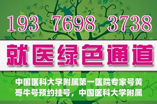 中国医科大学附属第一医院专家号黄哥牛号预约挂号，中国医科大学附属第一医院专家黄哥牛预约挂号攻略，轻松预约顶级专家号
