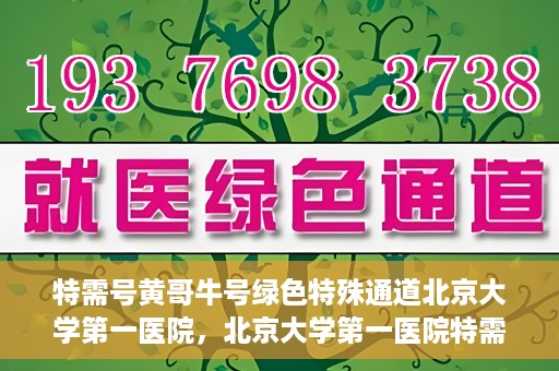 特需号黄哥牛号绿色特殊通道北京大学第一医院，北京大学第一医院特需号黄哥牛号，绿色特殊通道揭秘