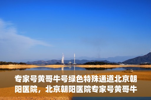 专家号黄哥牛号绿色特殊通道北京朝阳医院，北京朝阳医院专家号黄哥牛号开启绿色特殊通道，助力患者高效就医