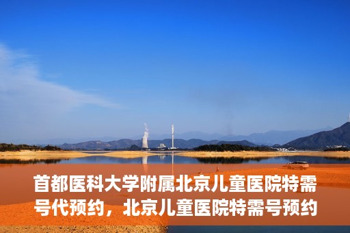 首都医科大学附属北京儿童医院特需号代预约，北京儿童医院特需号预约服务详解