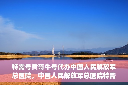 特需号黄哥牛号代办中国人民解放军总医院，中国人民解放军总医院特需号黄哥牛号代办服务解析