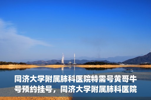 同济大学附属肺科医院特需号黄哥牛号预约挂号，同济大学附属肺科医院黄哥牛号特需号预约挂号攻略