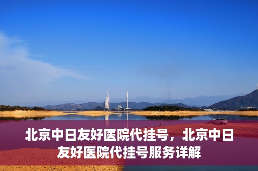 北京中日友好医院代挂号，北京中日友好医院代挂号服务详解