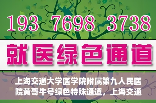 上海交通大学医学院附属第九人民医院黄哥牛号绿色特殊通道，上海交通大学医学院附属第九人民医院黄哥牛号，绿色特殊通道开启健康之门