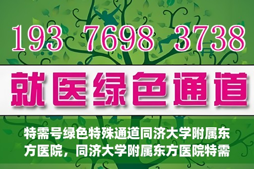 特需号绿色特殊通道同济大学附属东方医院，同济大学附属东方医院特需号绿色特殊通道，打造高品质医疗服务体验
