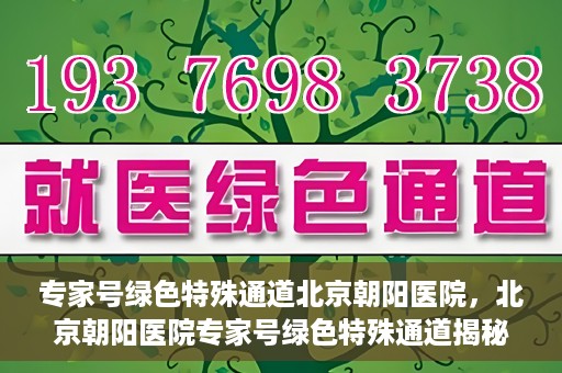 专家号绿色特殊通道北京朝阳医院，北京朝阳医院专家号绿色特殊通道揭秘，医疗服务的创新与优化体验