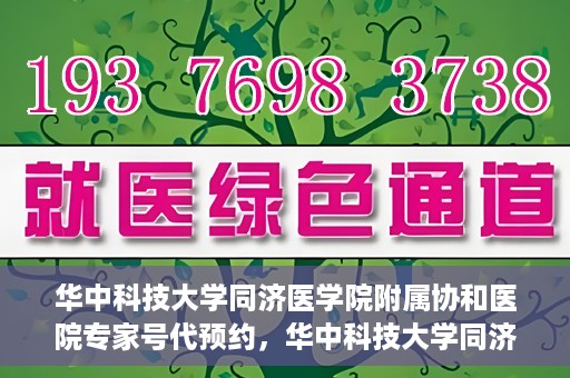 华中科技大学同济医学院附属协和医院专家号代预约，华中科技大学同济医学院附属协和医院专家号预约代办服务解析