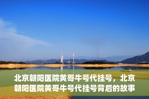 北京朝阳医院黄哥牛号代挂号，北京朝阳医院黄哥牛号代挂号背后的故事揭秘