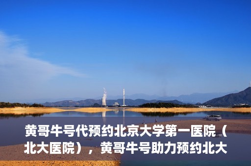 黄哥牛号代预约北京大学第一医院（北大医院），黄哥牛号助力预约北大医院——北京大学第一医院权威预约服务开启