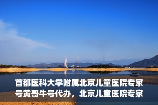 首都医科大学附属北京儿童医院专家号黄哥牛号代办，北京儿童医院专家黄哥牛号代办攻略，专业解读与预约指南