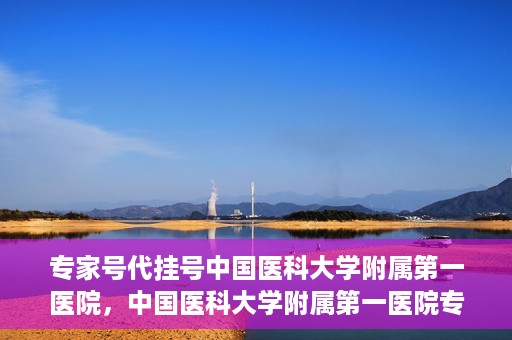 专家号代挂号中国医科大学附属第一医院，中国医科大学附属第一医院专家号代挂号服务解析