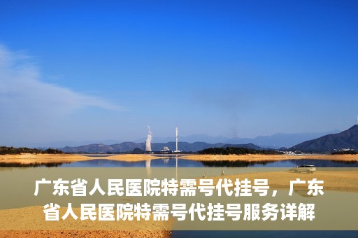 广东省人民医院特需号代挂号，广东省人民医院特需号代挂号服务详解