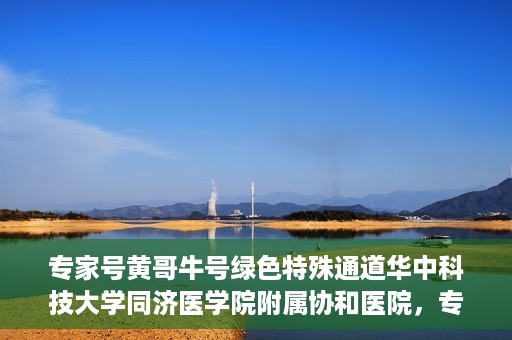 专家号黄哥牛号绿色特殊通道华中科技大学同济医学院附属协和医院，专家黄哥牛号揭秘，华中科技大学同济医学院附属协和医院的绿色特殊通道