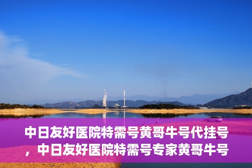 中日友好医院特需号黄哥牛号代挂号，中日友好医院特需号专家黄哥牛号代挂号服务解析