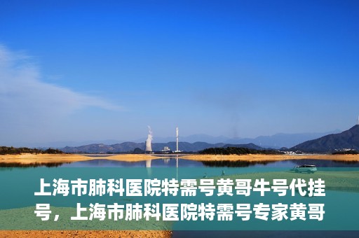 上海市肺科医院特需号黄哥牛号代挂号，上海市肺科医院特需号专家黄哥牛号预约挂号攻略
