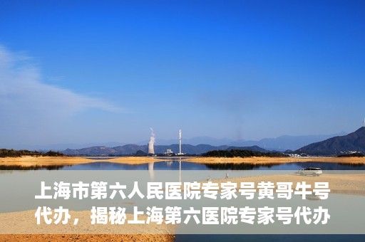 上海市第六人民医院专家号黄哥牛号代办，揭秘上海第六医院专家号代办背后的故事，黄哥牛号代办真相揭秘