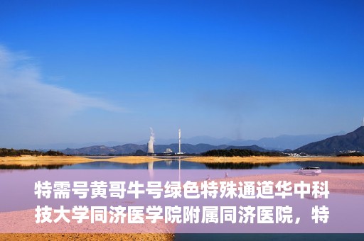 特需号黄哥牛号绿色特殊通道华中科技大学同济医学院附属同济医院，特需号黄哥牛号背后的绿色特殊通道，华中科技大学同济医学院附属同济医院的探索与实践