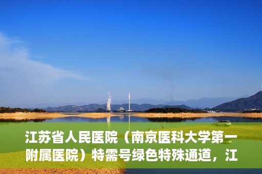 江苏省人民医院（南京医科大学第一附属医院）特需号绿色特殊通道，江苏省人民医院特需号绿色通道的便捷就医体验
