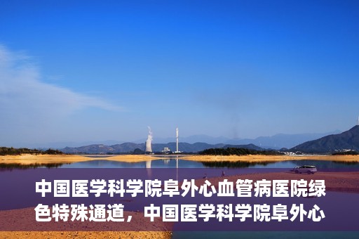 中国医学科学院阜外心血管病医院绿色特殊通道，中国医学科学院阜外心血管病医院开通绿色特殊通道，助力患者快速康复之路