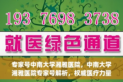 专家号中南大学湘雅医院，中南大学湘雅医院专家号解析，权威医疗力量的深度解读