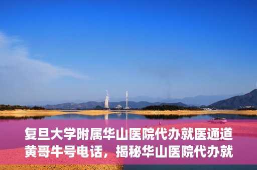 复旦大学附属华山医院代办就医通道黄哥牛号电话，揭秘华山医院代办就医通道，黄哥牛号电话背后的故事