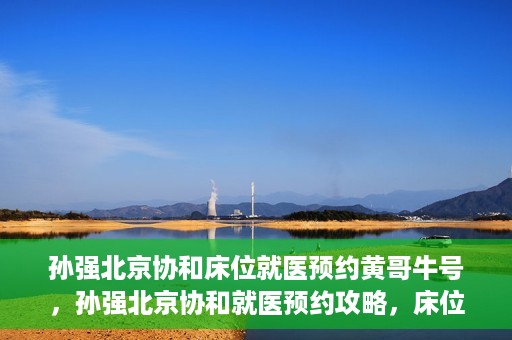 孙强北京协和床位就医预约黄哥牛号，孙强北京协和就医预约攻略，床位预约秘籍与黄哥牛号揭秘