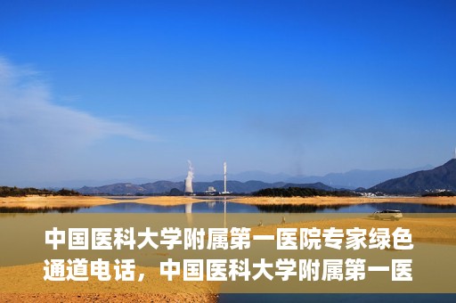 中国医科大学附属第一医院专家绿色通道电话，中国医科大学附属第一医院专家绿色通道热线电话揭秘