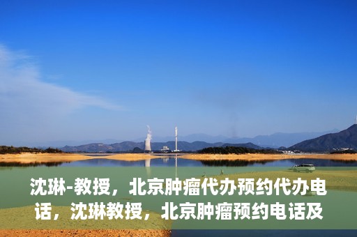 沈琳-教授，北京肿瘤代办预约代办电话，沈琳教授，北京肿瘤预约电话及代办服务解析