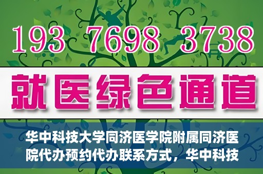 华中科技大学同济医学院附属同济医院代办预约代办联系方式，华中科技大学同济医学院附属同济医院预约代办联系方式全解析