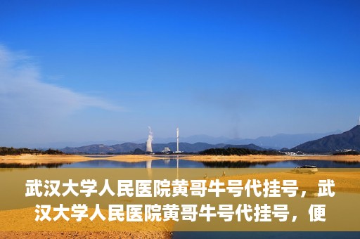 武汉大学人民医院黄哥牛号代挂号，武汉大学人民医院黄哥牛号代挂号，便捷就医背后的故事