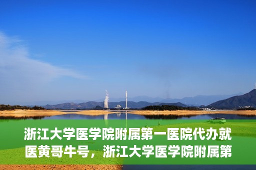 浙江大学医学院附属第一医院代办就医黄哥牛号，浙江大学医学院附属第一医院就医代办达人黄哥牛号解析