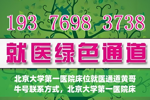 北京大学第一医院床位就医通道黄哥牛号联系方式，北京大学第一医院床位就医通道，黄哥牛号联系方式全解析