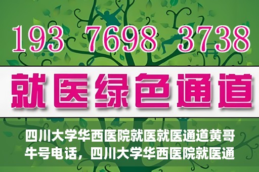 四川大学华西医院就医就医通道黄哥牛号电话，四川大学华西医院就医通道解析，黄哥牛号电话背后的就医便利之道