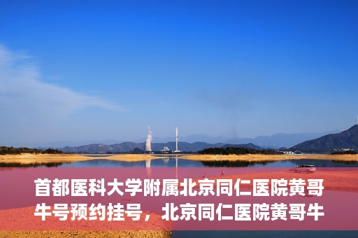 首都医科大学附属北京同仁医院黄哥牛号预约挂号，北京同仁医院黄哥牛号预约挂号攻略，专业医疗服务的便捷通道