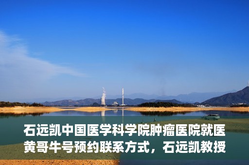 石远凯中国医学科学院肿瘤医院就医黄哥牛号预约联系方式，石远凯教授，中国医学科学院肿瘤医院就医攻略及黄哥牛号预约联系方式揭秘