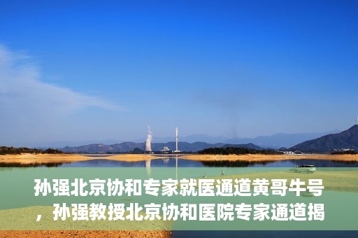 孙强北京协和专家就医通道黄哥牛号，孙强教授北京协和医院专家通道揭秘，黄哥牛号背后的就医故事