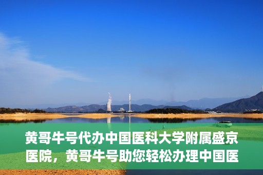 黄哥牛号代办中国医科大学附属盛京医院，黄哥牛号助您轻松办理中国医科大学附属盛京医院手续！