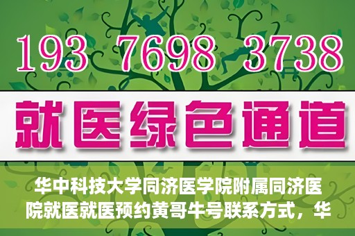 华中科技大学同济医学院附属同济医院就医就医预约黄哥牛号联系方式，华中科技大学同济医院就医预约联系方式揭秘，黄哥牛号预约渠道及联系方式解析