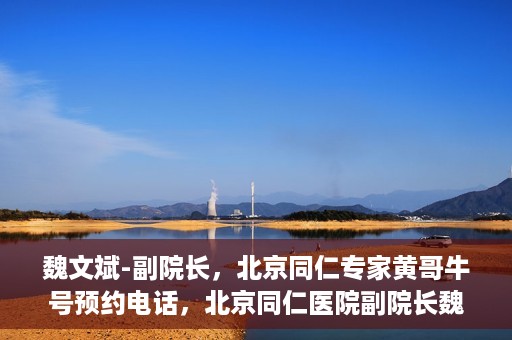 魏文斌-副院长，北京同仁专家黄哥牛号预约电话，北京同仁医院副院长魏文斌与专家黄哥牛号预约热线揭秘