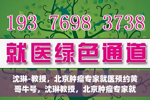 沈琳-教授，北京肿瘤专家就医预约黄哥牛号，沈琳教授，北京肿瘤专家就医预约热线背后的权威力量