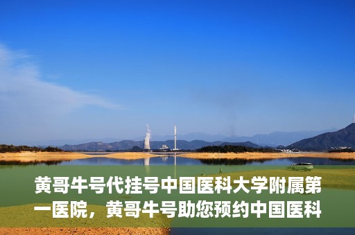 黄哥牛号代挂号中国医科大学附属第一医院，黄哥牛号助您预约中国医科大学附属第一医院专家号