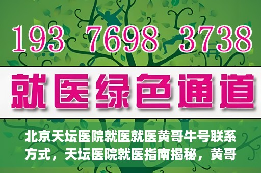北京天坛医院就医就医黄哥牛号联系方式，天坛医院就医指南揭秘，黄哥牛号联系方式曝光
